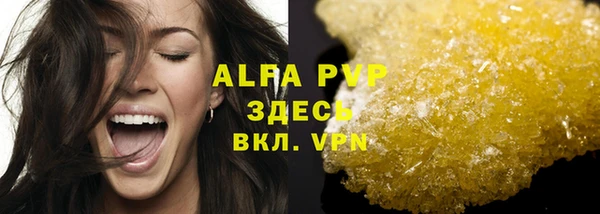 сатива Новозыбков