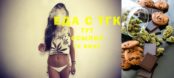 сатива Новозыбков