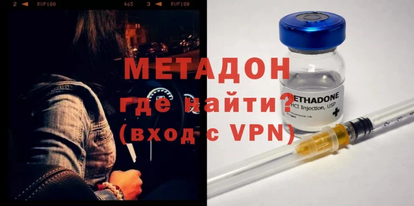 сатива Новозыбков