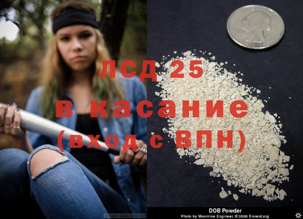 ПСИЛОЦИБИНОВЫЕ ГРИБЫ Новокубанск
