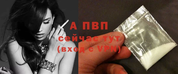 ПСИЛОЦИБИНОВЫЕ ГРИБЫ Новокубанск