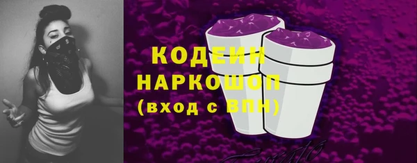 сатива Новозыбков