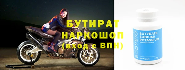 сатива Новозыбков