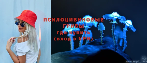 герыч Новодвинск