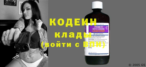 сатива Новозыбков