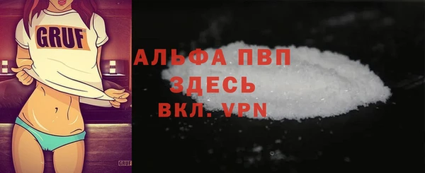 сатива Новозыбков