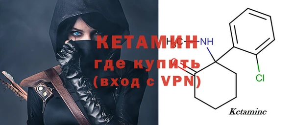 сатива Новозыбков