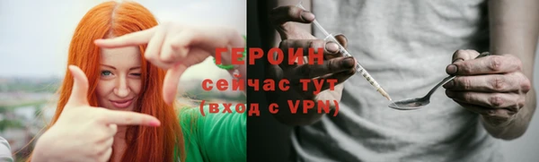 сатива Новозыбков