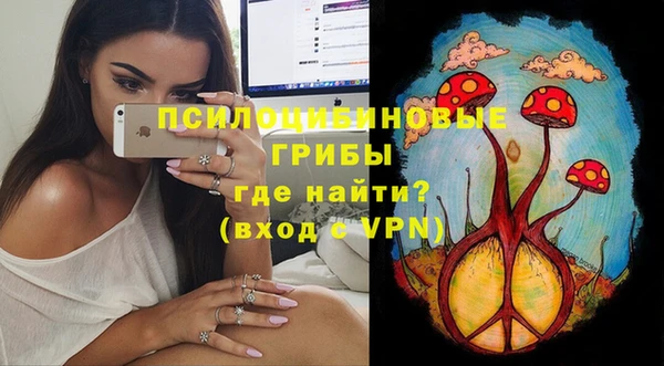 ПСИЛОЦИБИНОВЫЕ ГРИБЫ Новокубанск