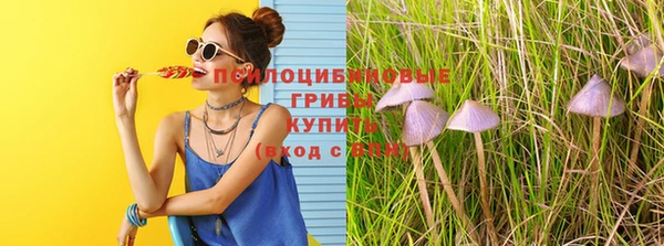 ПСИЛОЦИБИНОВЫЕ ГРИБЫ Новокубанск