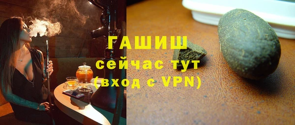 сатива Новозыбков
