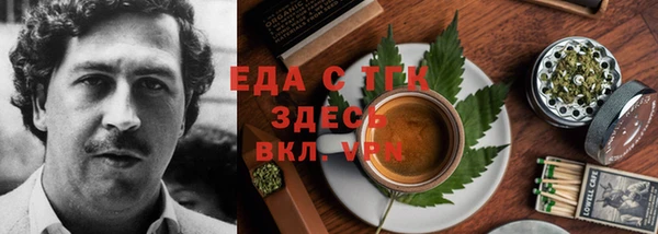 сатива Новозыбков
