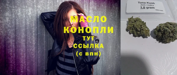 сатива Новозыбков