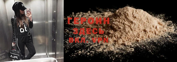 сатива Новозыбков