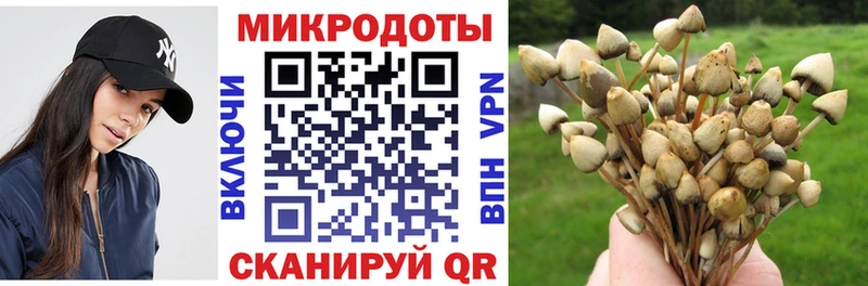Галлюциногенные грибы Psilocybe  нарко площадка клад  Рославль 
